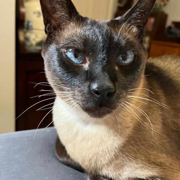 Meet your Posher, Susanne - Picture 12 of 16